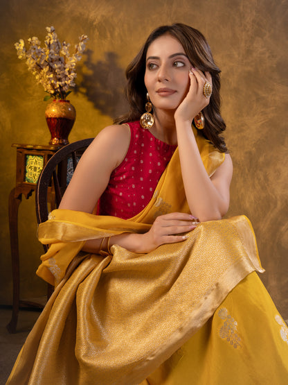 Yellow Dola Silk Saree With Zari Borders